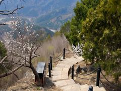-北京十三陵国家森林公园蟒山景区