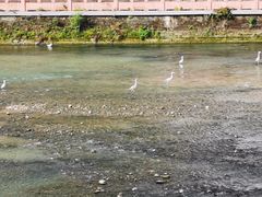 -四川大学(望江校区)