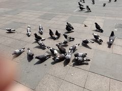 -文成焕·家族韩式餐厅