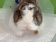 -美迦爱-牙专科·兔科·骨科诊疗中心(北苑店)