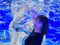 -哈尔滨波塞冬海底世界