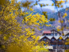 -九如山休闲旅游度假区