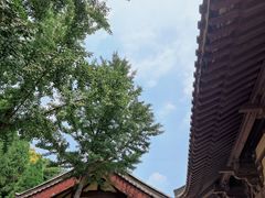 -四门塔风景区