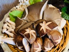 -麻路成都火锅(柏威年店)