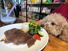 -百好乐宠物友好餐厅(朝外大街店)