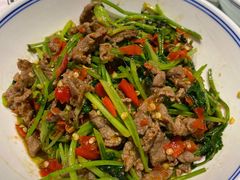 香菜炒牛肉-壹盏灯(惠农店)