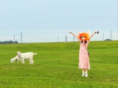 -哈拉新村