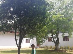 -堤角公园
