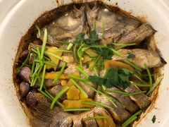 -蔼若春.传承三十年云南菜(金碧公园店)