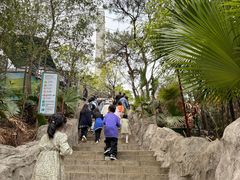 -盈香心动乐园
