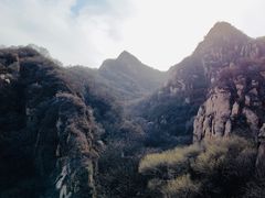 -大岭沟猕猴桃谷风景区