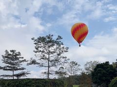 -中国科学院西双版纳热带植物园