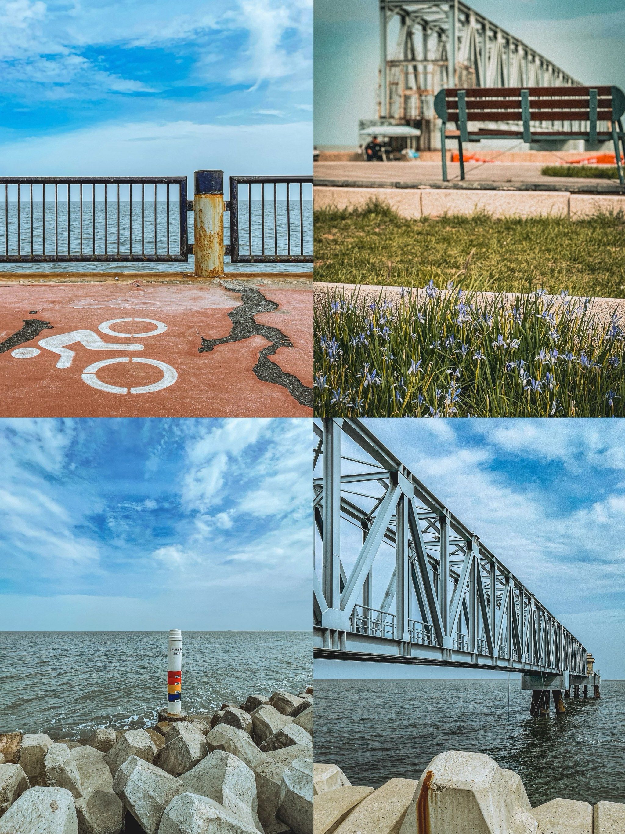 东堤🌊 大天津 滨海新区