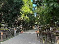 -奈良公园