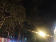 -陈李济中药博物馆