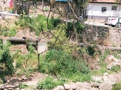 -终南山国家森林公园