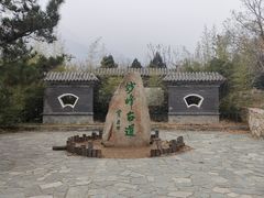 -阳台山自然风景区