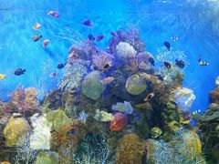 -洛阳龙门海洋馆