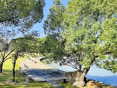 -上海交通大学(闵行校区)