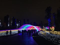 -秀丽东方