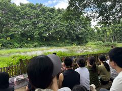 -广州长隆飞鸟乐园