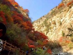 -黄花溪