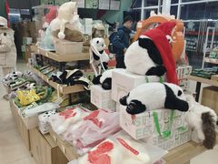 -熊猫邮局(少城店)