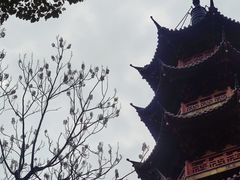 -龙华寺