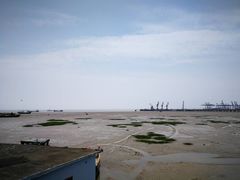 -平湖九龙山旅游度假区