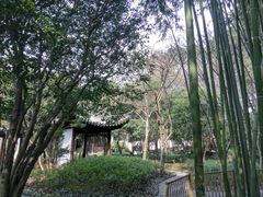 -汇龙潭