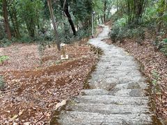 -飞霞风景名胜区