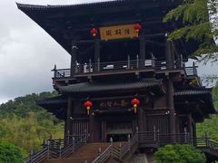 -大唐贡茶院