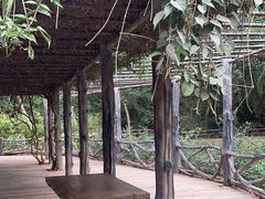 -海南热带野生动植物园