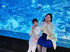 -香港海洋公园