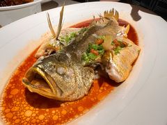 -维园悦谱·海派家常菜(乌鲁木齐南路店)