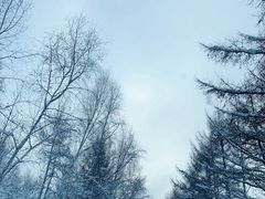 -富龙滑雪场