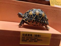 -天津自然博物馆