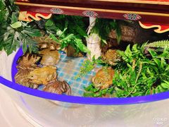 -藜爱·山海情海鲜自助(万达广场店)
