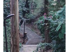 -南岗山公园