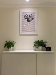 -SILKTONE诗丽堂美容