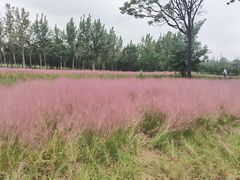 -汉长安城未央宫国家考古遗址公园