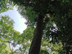 -杭州黄龙洞
