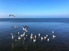 -青海湖国家重点风景名胜区