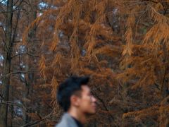 -重庆彩云湖湿地公园