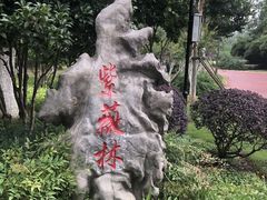 -滨湖塘西河公园