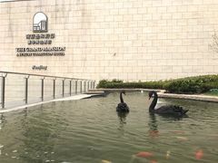 -行者书屋大堂吧 ·下午茶(南京圣和府邸酒店)