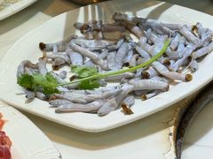 生上沙虫-牛排王糟粕醋火锅(海甸分店)