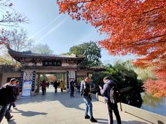 -西湖外事游船(花港观鱼码头)