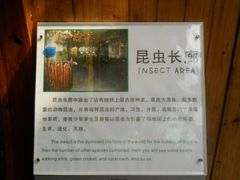 景点-上海大自然野生昆虫馆
