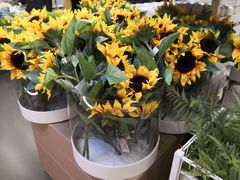 -宜家家居(四元桥商场店)